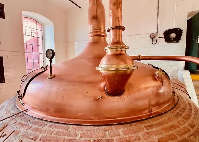 Mini-hôtel Cernokostelecky Pivovar Kostelec nad Černými Lesy